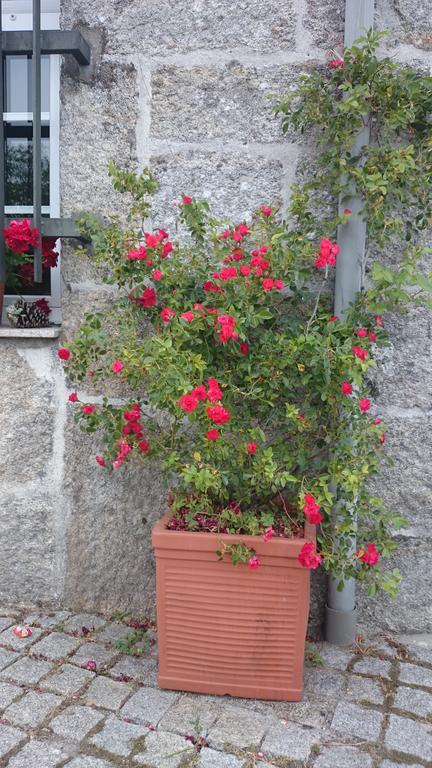 Villa Casa O Torgal Parada del Sil Esterno foto